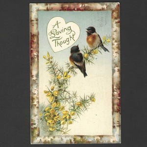 Une pensée affectueuse Oiseaux sur un buisson à fleurs jaunes Carte postale ancienne UDB utilisée par la poste 1917 Cadre imitation bois de bouleau The Rotograph Co Publisher