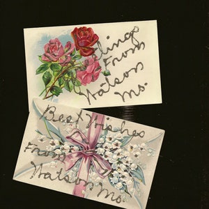 WATSON MO Paire de cartes postales anciennes inutilisées, motifs floraux, salutations, superbes encadrées