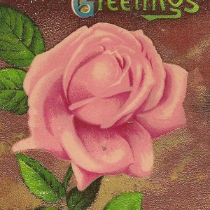Ancienne carte postale d'anniversaire de juin rose rose pâle F W Woolworth Stores Publisher 1912 Cannon Falls Minn Cancel