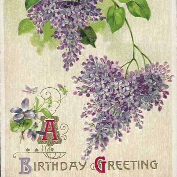 Lilac Branches Embossed Antique Birthday Postcard 1910s - A Birthday Greeting