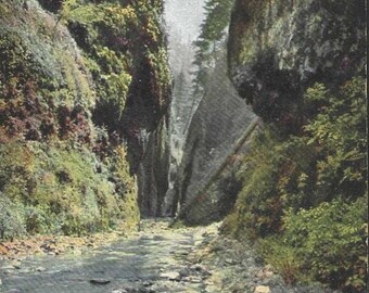 Gorges d'Oneonta sur le fleuve Columbia, OREGON Carte postale ancienne 1908