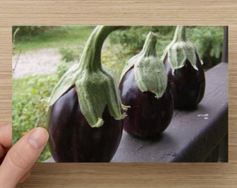 Eggplant Photo ~Trio of Purple Eggplants Food Photography on Blank Note Card -  Men in Hats - Kitchen Art - All Occasion Note Card
