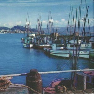 Carte postale vintage des années 50, Morro Bay, Californie, flotte de pêche