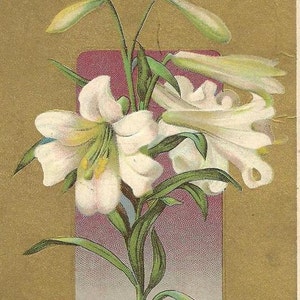 Carte postale de Pâques vintage, lys de Pâques blanc sur fond d'or annulée Paris et les fêtes de l'Ontario 1911