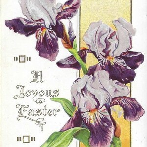 Iris violet sur carte postale de Pâques ancienne 1915 - Stecher Litho - A Joyous Easter