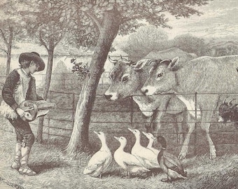 Antique Engraving - Farmer Playing Music for Animals 1886 Magic Power of Music