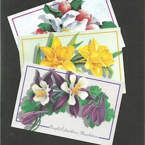 Trio de cartes postales florales arlequin cartes postales vintage inutilisées 1993 jonquilles, fleurs de pommier et ancolie - parfait pour l'encadrement