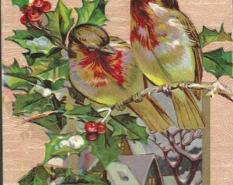 Winter Robins on Holly Branch Country Home Scene Antique New Year's Postcard 1909 Jan 1 1910 Cancel