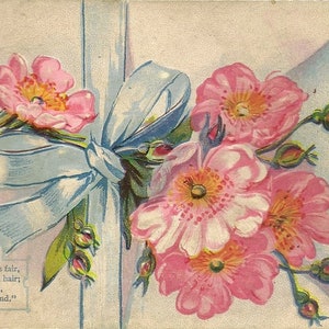 Fausse enveloppe de roses sauvages attachées dans un noeud de ruban sur une carte postale ancienne en relief de 1912 - Vers le plaisir après la douleur - Langage des fleurs