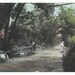 see more listings in the Postcards UNITED STATES section