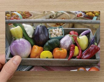 Bounty of Heirloom Vegetables on Blank Note Card Food Photography Perfect Kitchen Art Lovely All Occasion Card Fall Autumn Harvest Bounty