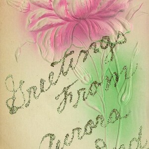 Greetings From AURORA Indiana Antique Glitter Tinsel Carte postale rose rose en bas-relief brossé couleur