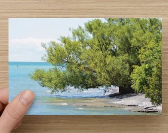 Tree at Water’s Edge Nature Photography Blank Photo Note Card Life on the Edge All occasion Note Card