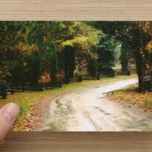 Fall Colors Along A Country Roadway Woven Split Rail Fence Landscape Photography on Blank Note Card Autumnal Colours All Occasion Card image 1