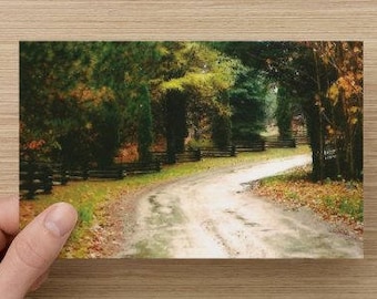 Fall Colors Along A Country Roadway Woven Split Rail Fence Landscape Photography on Blank Note Card Autumnal Colours All Occasion Card