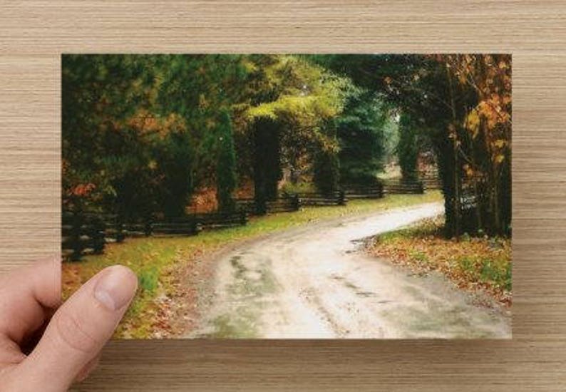 Fall Colors Along A Country Roadway Woven Split Rail Fence Landscape Photography on Blank Note Card Autumnal Colours All Occasion Card image 1