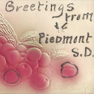 Salutations du PIÉMONT Carte postale SD pailletée antique des années 1910, panier de pomme en bas relief couleur lavis avec petite abeille - Carte postale guirlande