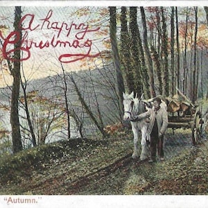 Carte postale de Noël antique Homme avec cheval blanc et chariot, 1906 Pictorial Stationery Co, série paon - intitulée L'automne - Un joyeux Noël