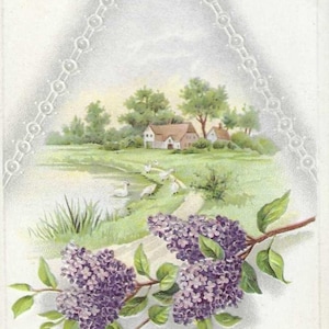 Branches de lilas et maison de campagne au bord du lac Carte postale d'anniversaire antique Années 1910 Stecher Litho Beaucoup de retours heureux