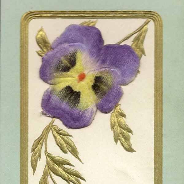 Flocked Bas Relief Purple Pansy Antique Birthday Postcard Postally Unused