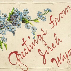 Salutations de JIREH Wyoming carte postale floquée antique bouquet de myosotis 1910