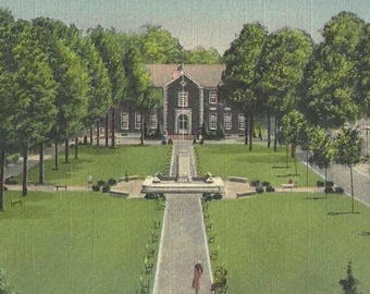 Bestor Plaza and Smith Library CHAUTAUQUA New York Unused Vintage Linen Postcard