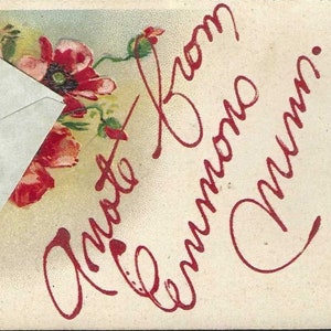 Paul Finkernrath, carte postale originale du Minnesota, A Note of EMMONS, coquelicots rouges, Paul Finkernrath, message amusant au dos