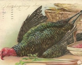 1906 UDB Antique Thanksgiving Postcard Tuck and Sons R J Wealthy Artist Signed – Turkey and Cranberries in Basket