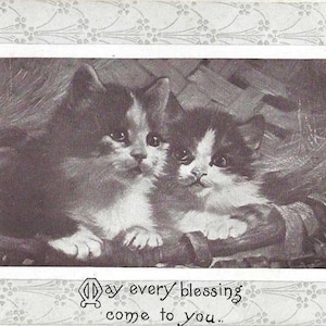 Paire de chatons ancienne carte postale de l'amitié 1912 Que toutes les bénédictions vous viennent