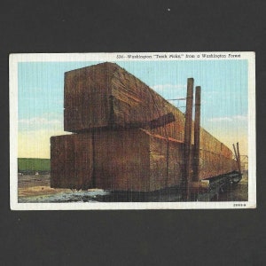 Carte postale en lin vintage Washington Tooth Picks inutilisée - Provenant d'une forêt de Washington - Lit plat ferroviaire en bois