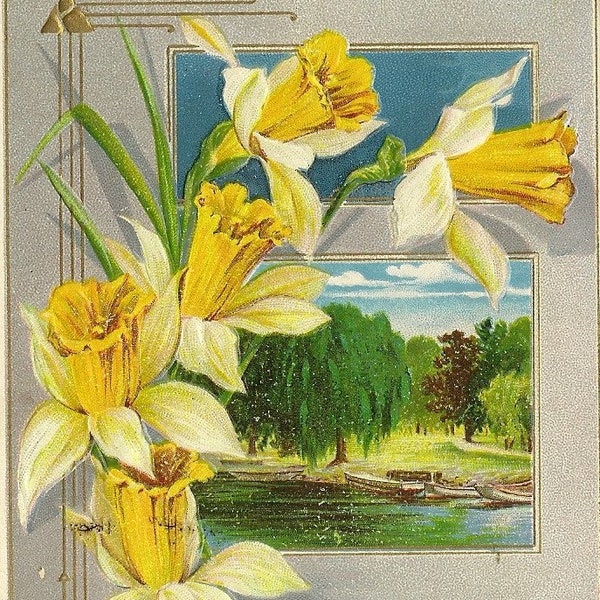 Bouquet of Daffodils and Country Scene Embossed Antique Postcard A Joyous Greeting