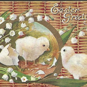 Poussins qui viennent d'éclore avec du muguet Carte postale de Pâques 1908 artiste signée ASM