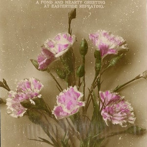 Oeillets roses antique RPPC fleurs de Pâques des années 1910 EAS E A Schwerdtfeger Carte postale de Pâques antique avec photo réelle