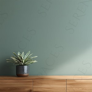 May include: A potted plant with green and white striped leaves sits on a wooden surface. The plant is in a dark gray pot with a brown base. The background is a solid, muted green wall. The wooden surface has three drawers.