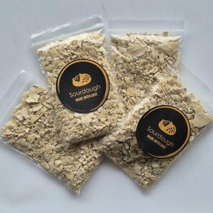 Sourdough Starter- Active and bubbly organic culture. Instructions Included