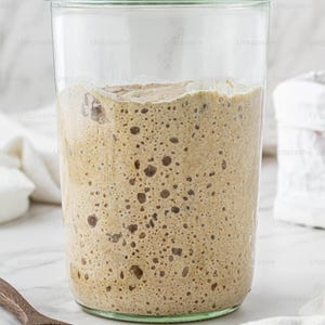 Sourdough Starter Culture- Fresh, Active, Organic - Heirloom Wild Yeast Culture