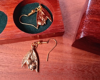 Marri Gum Nut Earrings with Handcrafted Jarrah Wood Keepsake Box | Australian Native Botanical Jewellery Gift Set | Handmade Timber Gift Box