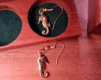 Tiger Snout Seahorse Earrings with Handcrafted Jarrah Wood Box  | Australian Marine Jewellery Gift Set | Wooden Keepsake Box