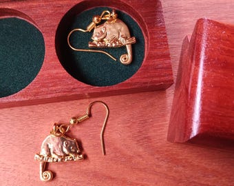 Possum Earrings with Handcrafted Jarrah Wood Box | Australian Native Wildlife Jewellery Gift Set | Wooden Keepsake Box