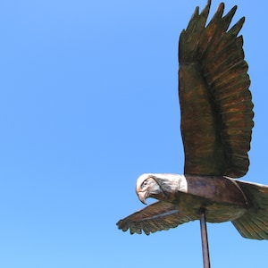Copper Hawk, Weathervane, Large Rooftop Weathervane, Red Tailed Hawk