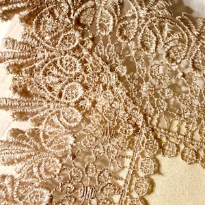 May include: Close-up of a beige lace fabric with intricate floral and geometric patterns. The lace has a scalloped edge and is held by a silver clip. The delicate design is visible throughout the fabric.
