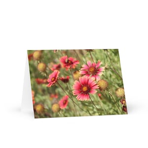 Lebendige Wildblumen Grußkarte – Innen leer – Gaillardia Blüte Naturfotografie