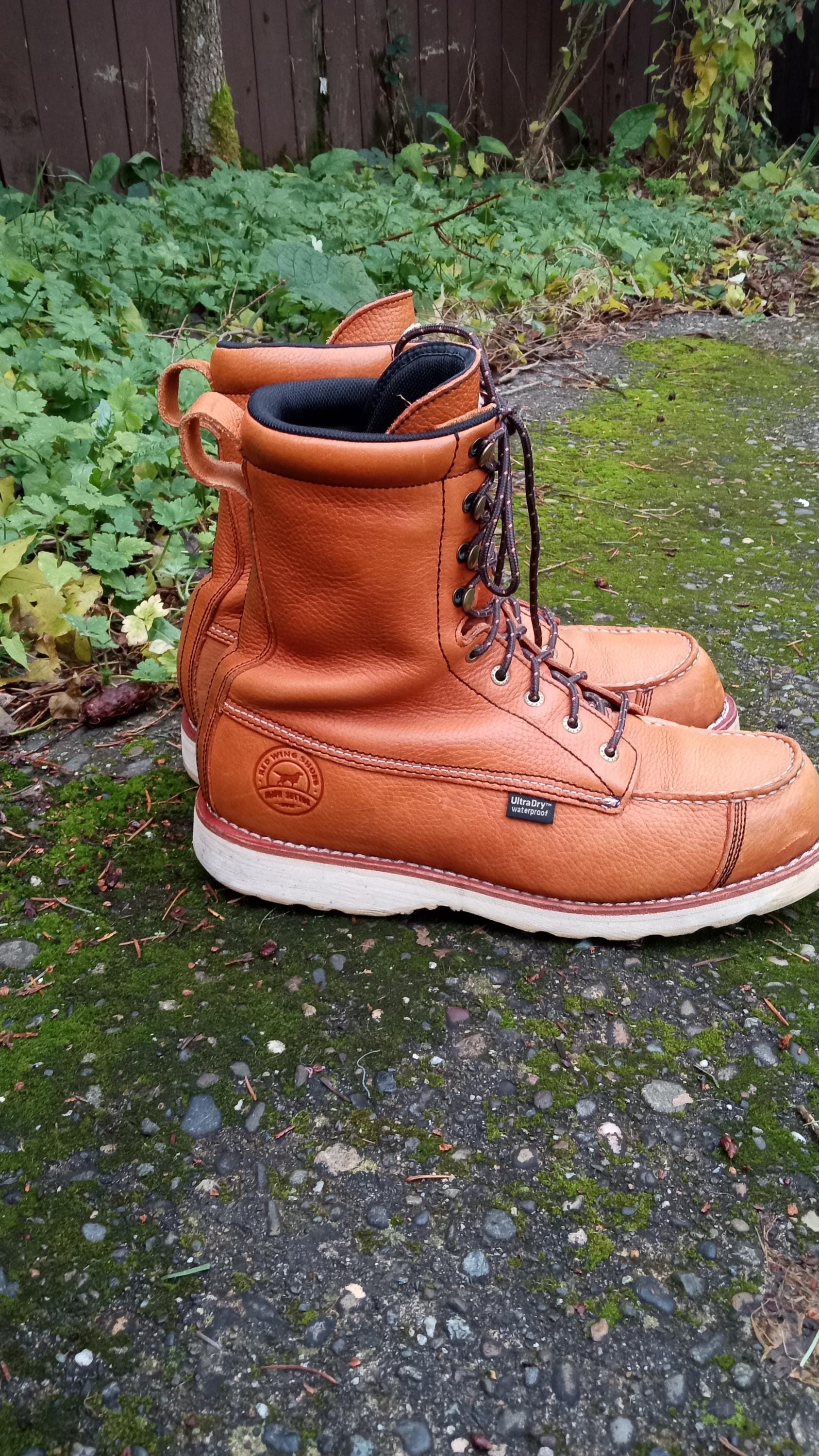 Vintage Redwing Irish Setter - Etsy