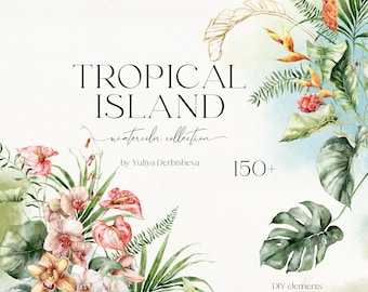 Clipart de hojas y flores tropicales en acuarela: marcos, ramos y arreglos florales de la selva PNG para descarga digital