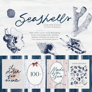 Op de afbeelding: Illustratie met verschillende schelpen en koraal in blauwe en witte tinten. Het woord "Seashells" is geschreven in een cursief lettertype. De afbeelding bevat ook handgetekende illustraties en tekst die luidt: "handgetekende vector oceaan illustraties."