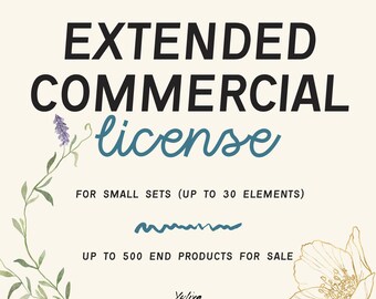 Extended License for one small sets (up to 30 elements)  by Yulia Derbisheva