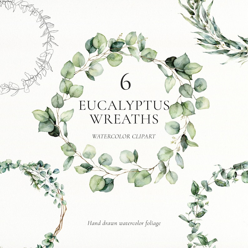 Watercolor Eucalyptus Wreath Clipart: Greenery Leaves Borders Frames ...