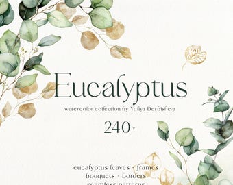 May include: Watercolor collection featuring eucalyptus leaves, frames, bouquets, borders, and seamless patterns. The image displays the word "Eucalyptus" in a dark green font, with the number "240+" below it. The image has a watercolor style.