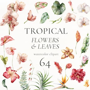 May include: A watercolour illustration of tropical flowers and leaves, including orchids, hibiscus, and monstera leaves. The image features a variety of colourful blooms in shades of pink, red, yellow, and green. Text reads "TROPICAL FLOWERS & LEAVES" and "watercolor clipart 64".
