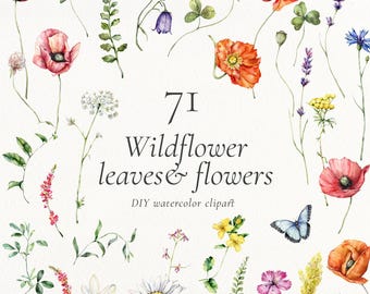 Watercolor Wildflowers Clipart – Summer Field Flowers and Grass PNG, Tiny Floral Elements for Wedding Designs, Digital Download